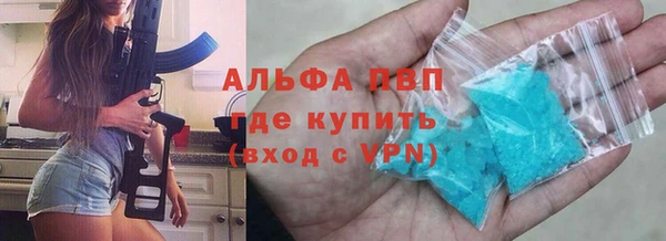apvp Алзамай