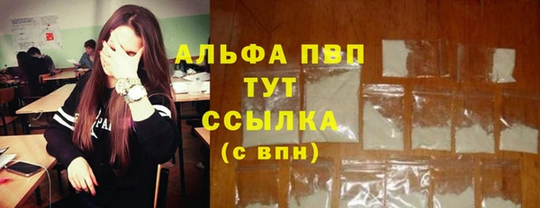 хмурый Каменногорск